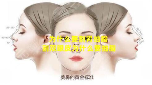 为什么要割胃抽脂 割双眼皮为什么要抽脂